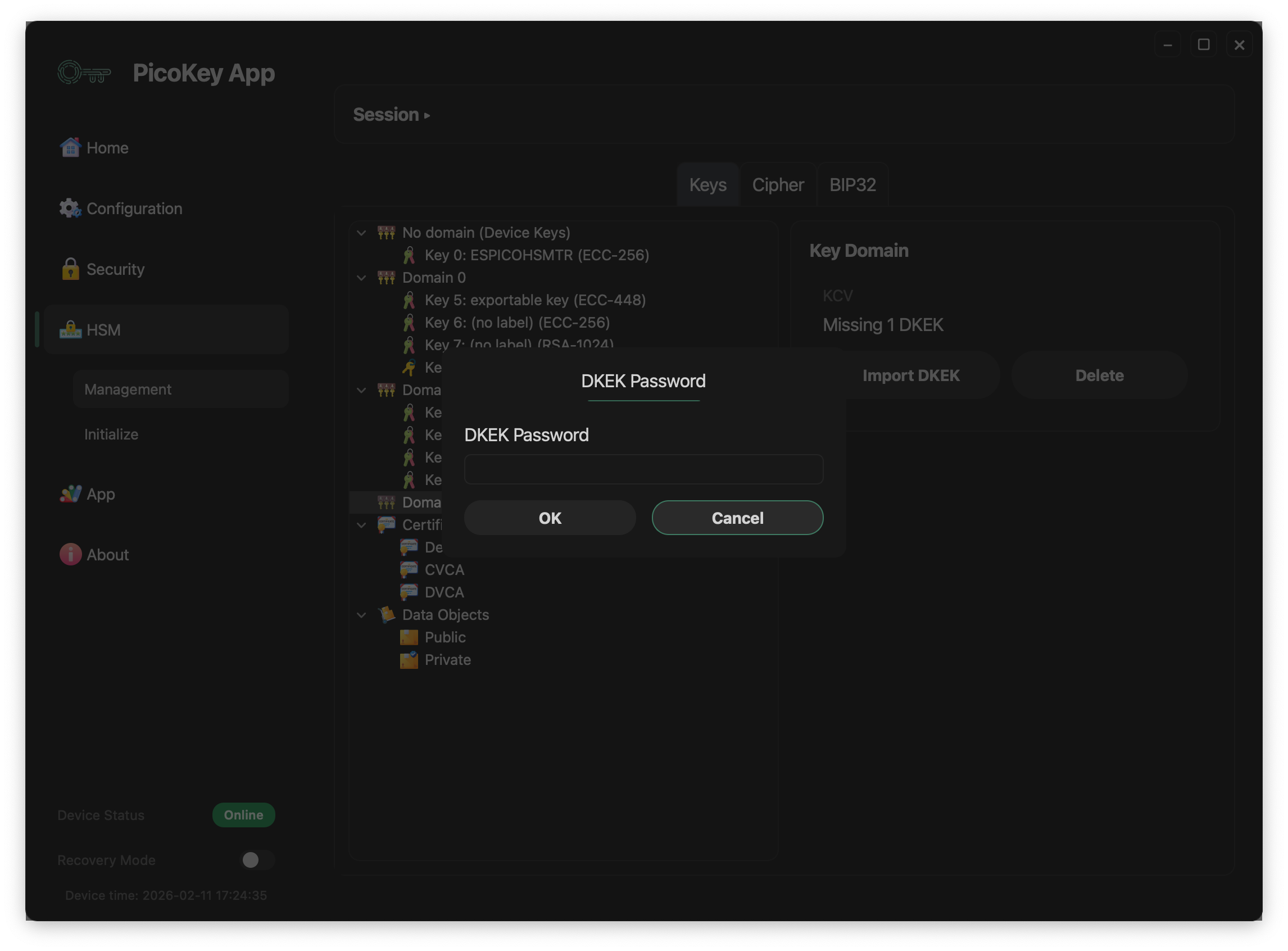 Key domain import DKEK password